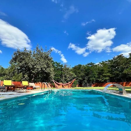 Horace Guesthouse Pool & Hot Tub & Bikes & River Dejani المظهر الخارجي الصورة