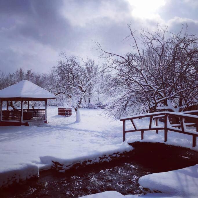 Horace Guesthouse Pool & Hot Tub & Bikes & River Dejani المظهر الخارجي الصورة