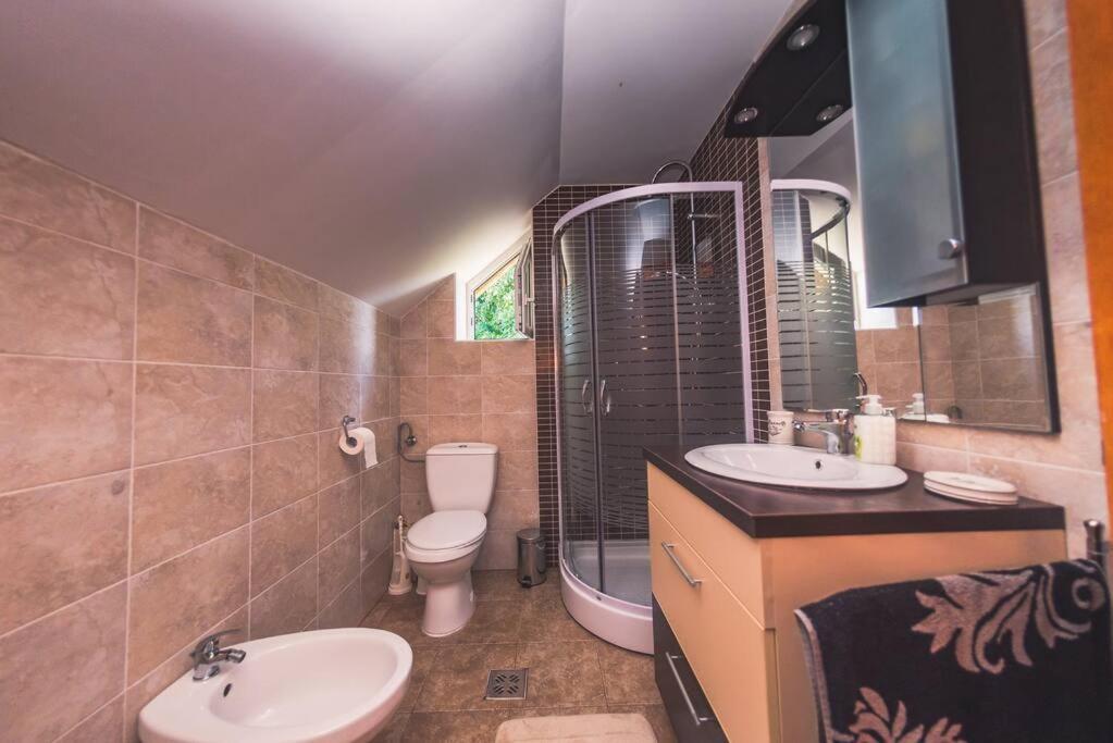 Horace Guesthouse Pool & Hot Tub & Bikes & River Dejani المظهر الخارجي الصورة