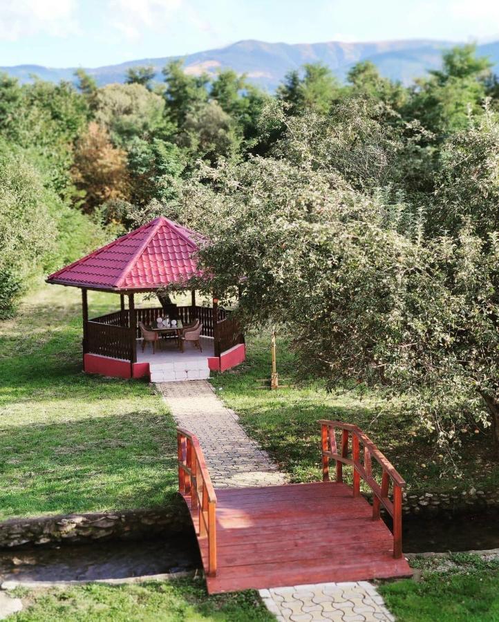 Horace Guesthouse Pool & Hot Tub & Bikes & River Dejani المظهر الخارجي الصورة